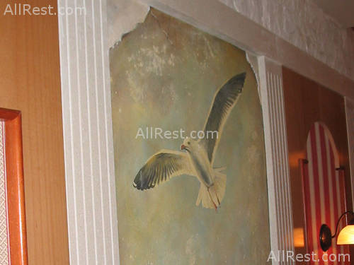 Pansion Krilo Hotel 22
